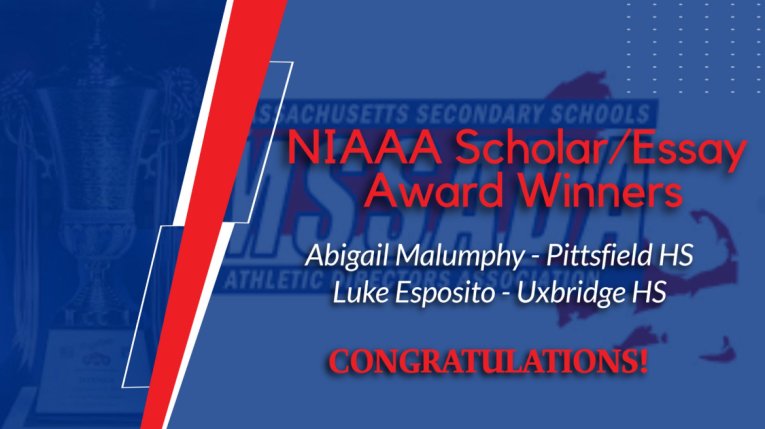 NIAAA Scholar/Essay Awards
